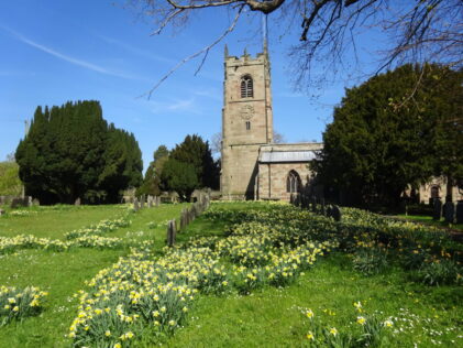 Church and daffodils