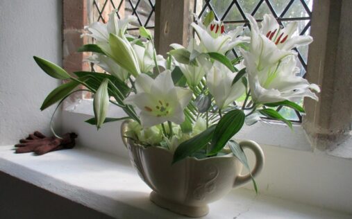 easter lilies