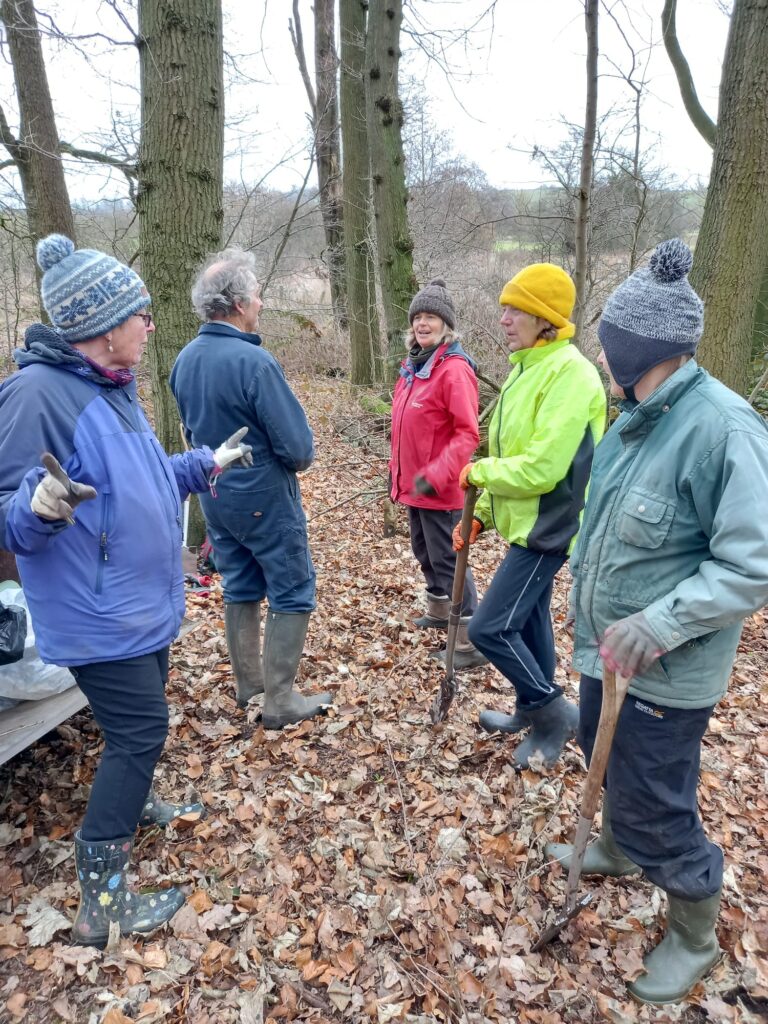 Tree planting mayfield